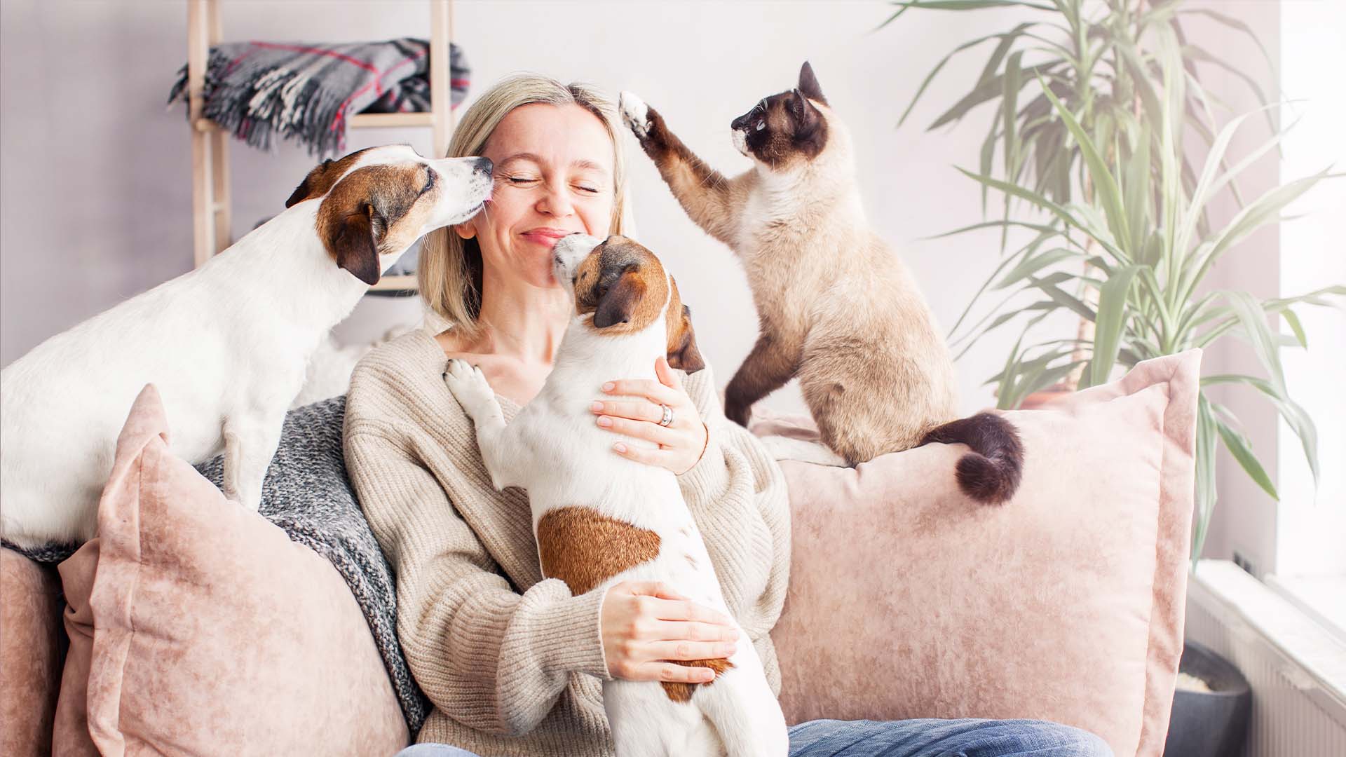 Petasure